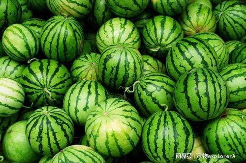 广东女子吃瓜,瓜中藏宝引发热议