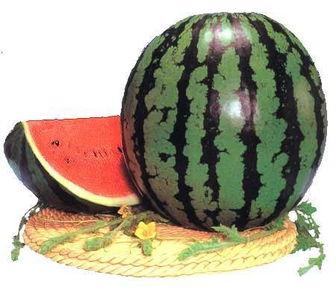 养生堂么吃瓜,吃瓜养生，健康生活新选择