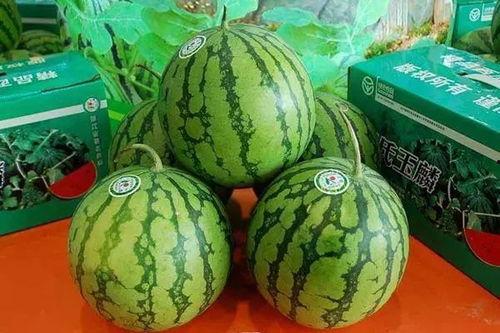 菏泽吃瓜原视频,一场引发热议的网络狂欢