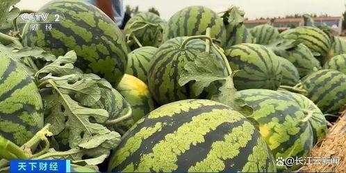 菏泽吃瓜原视频,一场引发热议的网络狂欢