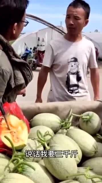 钱老板吃瓜,揭秘娱乐圈幕后风云