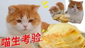 吃瓜喵喵酱巴尼