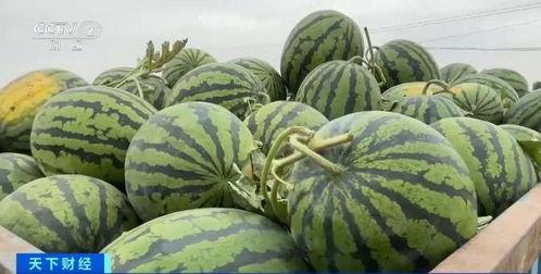 今年吃瓜排名,盘点娱乐圈最热话题