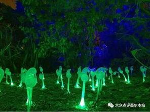 凌晨吃瓜配乐,揭秘深夜吃瓜的听觉盛宴