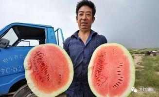 韩国来中国吃瓜,体验地道美食与文化风情