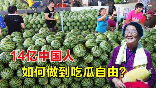 韩国来中国吃瓜,体验地道美食与文化风情