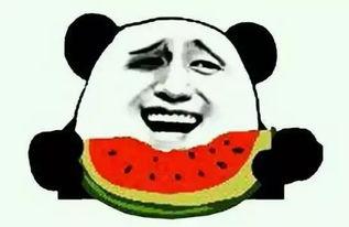 周末吃瓜了,娱乐圈幕后故事全解析