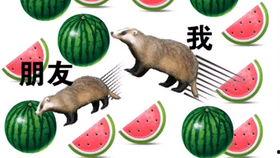 周末吃瓜了,娱乐圈幕后故事全解析