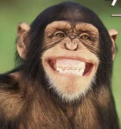 吃瓜人性的假恶丑,假恶丑背后的社会现象剖析