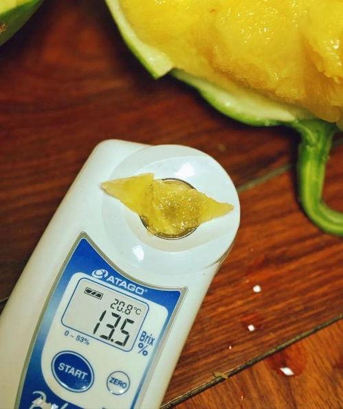 吃小凤瓜,小凤瓜的美味探索