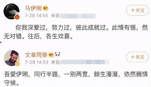 吃瓜走心文案,揭秘娱乐圈背后的真实故事