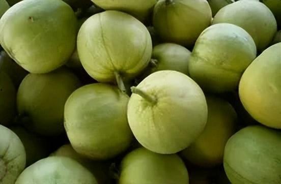 过年吃的甜瓜是什么瓜,过年必尝的甜瓜风味