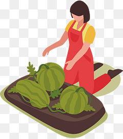 划水摸鱼吃瓜图片大全,划水摸鱼吃瓜，欢乐瞬间大盘点