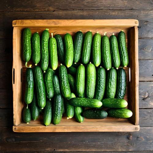 伞兵吃瓜头像高清,高清头像背后的军营生活