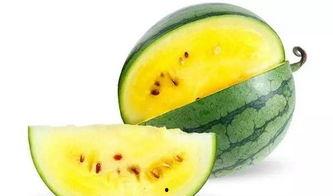 周末吃瓜去哪里,探寻最佳“瓜田”去处