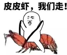 坐蹲吃瓜,品味生活，共享瓜果时光