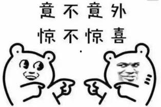 坐蹲吃瓜,品味生活，共享瓜果时光