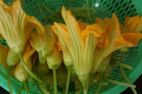 瓜除了煮着吃还能怎么吃,解锁瓜的多样烹饪与食用方式