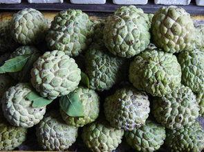 奇葩特产带你吃瓜,带你穿越全国，品尝独特美味