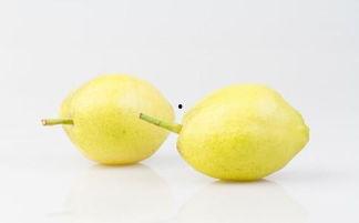 例假期间可以吃梨瓜吗,“经期女性适宜食用梨瓜吗？”