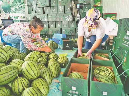 邳州最近吃瓜事件视频,一场引发热议的网络风波