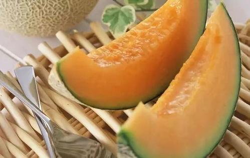 为什么偶尔吃哈密瓜嘴麻,揭秘偶尔吃哈密瓜嘴麻的神秘原因