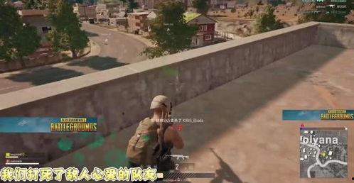 隐秘吃瓜馆游戏解说,探秘神秘事件，解锁悬疑真相