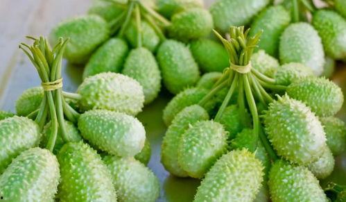 世妍sonya吃瓜,揭秘娱乐圈幕后故事