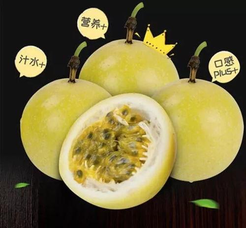 世妍sonya吃瓜,揭秘娱乐圈幕后故事