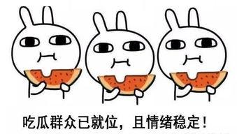 吃瓜爱火后续,续写甜蜜恋曲，揭秘娱乐圈背后的秘密