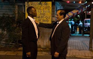 奥斯卡吃瓜现场视频大全,盘点那些爆笑、惊呆、感动的瞬间