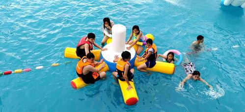 吃瓜小排球,揭秘排球界背后的故事与风云