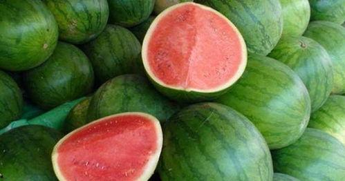 准备吃瓜怎么回答,轻松应对炎炎夏日