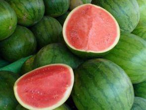 吃太多瓜胃胀,瓜果盛宴后的胃胀解密与应对策略