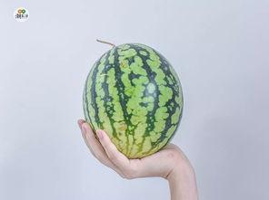 吃瓜 最新入口,一网打尽热门资讯，畅享娱乐盛宴