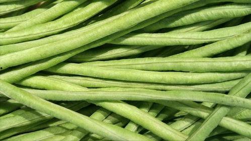 梦到吃瓜吃豆角什么意思,吃瓜吃豆角背后的寓意与启示