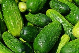 梦到怀孕的人吃瓜,揭秘梦境中的怀孕寓意与生活启示