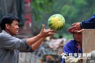 瓜农请环卫吃瓜