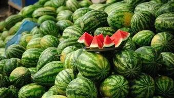 沈阳工院吃瓜,揭秘校园热点背后的真相