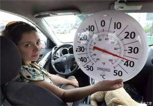 女生车上吃瓜,女生共享美食时光