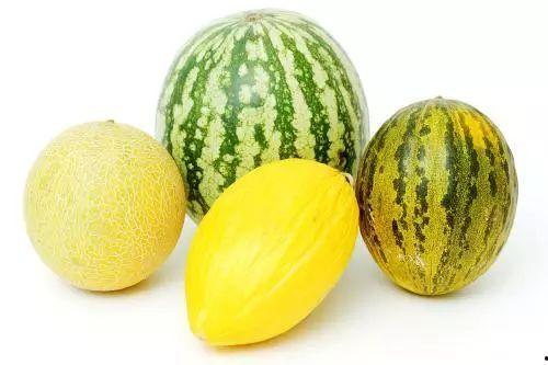 吃瓜肚子什么症状,揭秘常见症状及应对策略