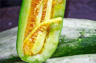 中天健吃瓜,揭秘娱乐圈幕后风云