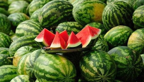 忽然吃瓜开始过敏了,揭秘“忽然吃瓜”背后的健康隐患