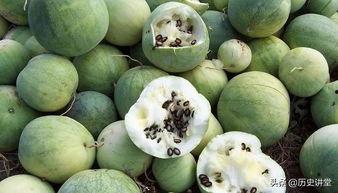 嗑瓜籽的吃瓜群众