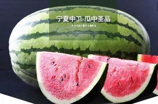 鲤鱼吃瓜吗,探究鱼儿饮食之谜