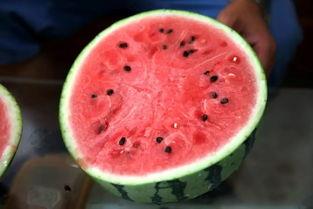 京圈吃瓜图文,揭秘吃瓜群众的图文盛宴