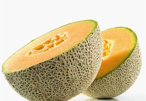 小仓吃哈密瓜,小仓的哈密瓜美食之旅