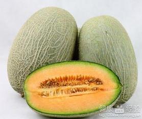 小仓吃哈密瓜,小仓的哈密瓜美食之旅