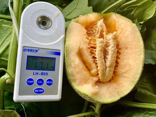 吃瓜合集分享,盘点娱乐圈那些令人捧腹的幕后故事