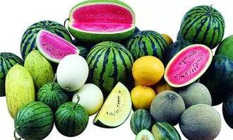 天门吃瓜,揭秘当地特色美食背后的故事